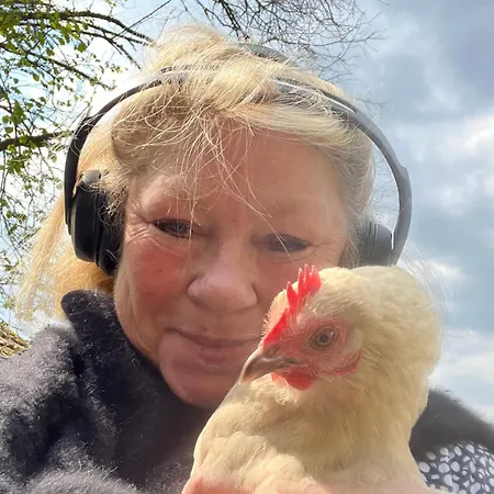 Le Vieux Moulin Senlis 60300 *