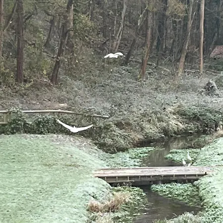 Le Vieux Moulin Senlis 60300 Appartement Chamant